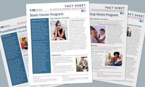 fact sheets