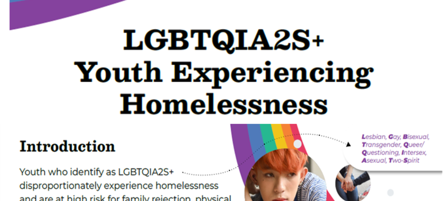 LGBTQIA2S+ YEH Infographic thumbnail